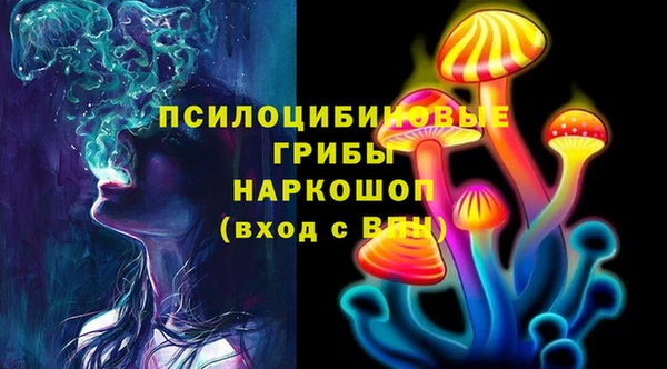 ПСИЛОЦИБИНОВЫЕ ГРИБЫ Кодинск