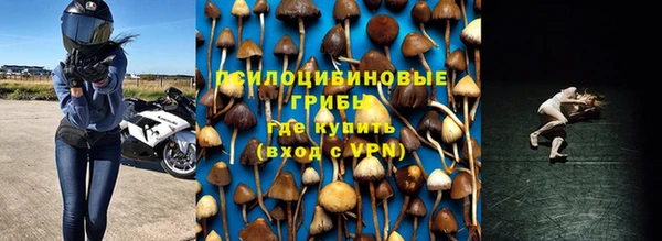 ПСИЛОЦИБИНОВЫЕ ГРИБЫ Кодинск