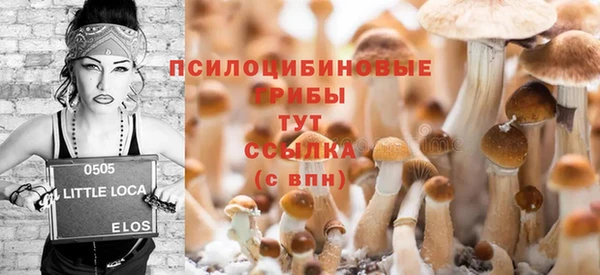 первитин Козловка